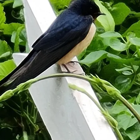 Little Get-a-way Кемпинг *