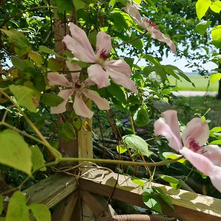 Little Get-a-way Хеллевутслёйс