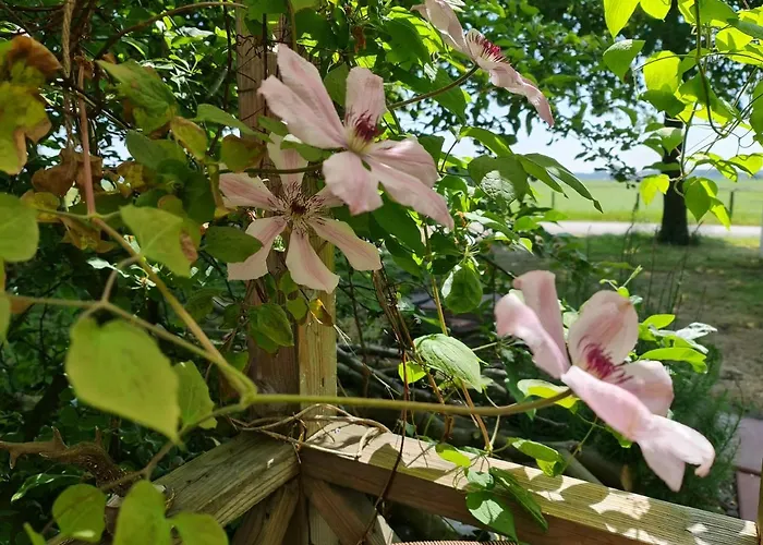 Little Get-a-way Hellevoetsluis