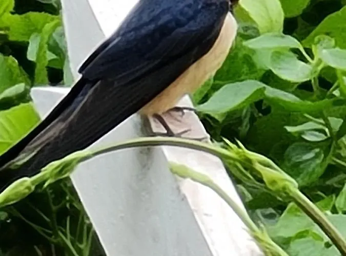 Little Get-a-way אתר קמפינג *